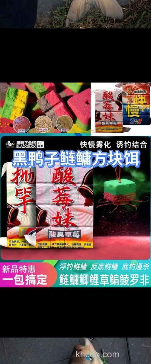 海竿钓鲢鳙用什么饵料最好？