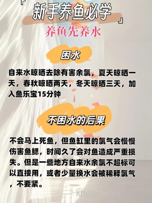 怎么可以让我的鱼活的更好？