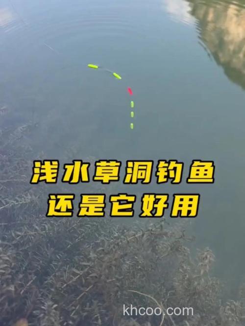水草洞里钓鲫鱼的技巧