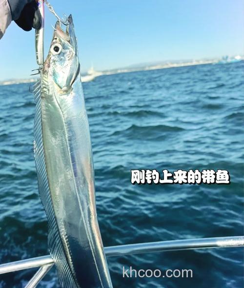 青岛海钓八带鱼技巧：掌握习性、选对钓点，显著提升渔获量