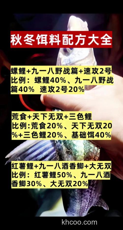 钓鲫鱼饵料如何准备？