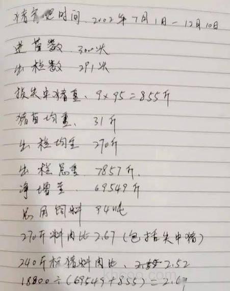 廋肉猪饲料比是多少