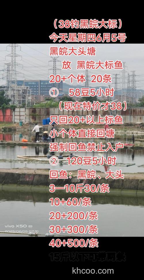 黑皖什么时间段最好钓？