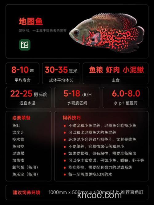 给地图鱼吃猪肉可以吗？