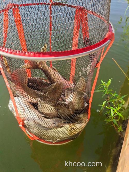 大水域湖库垂钓之我见解