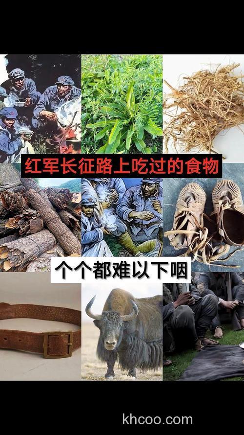 长征时红军吃的食物，你敢吃哪一种？