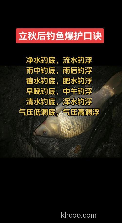 秋天雨后钓鱼怎么钓？掌握技巧能爆护！