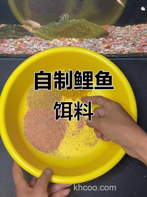 钓鲤鱼自制饵料
