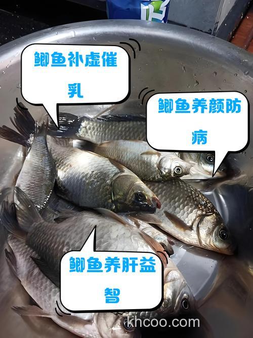 果酸对鲫鱼有效果吗？