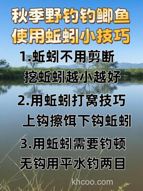 怎样用蚯蚓钓鲫鱼