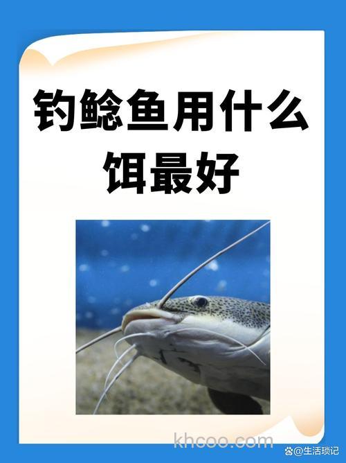 钓鲶鱼用啥饵好？