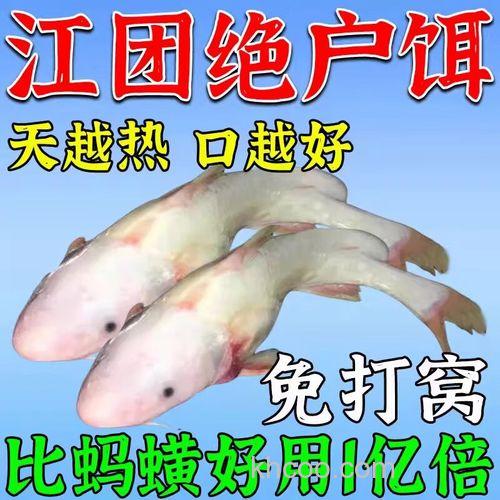 江团应该用什么饵料