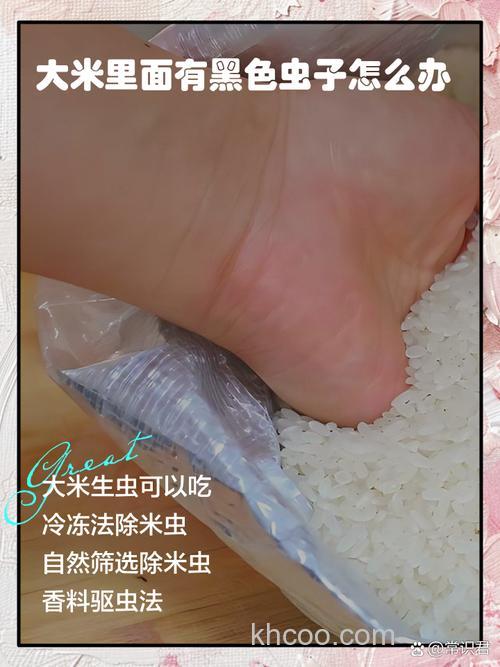 变质的大米如何制作鱼饵