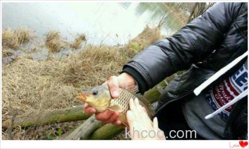 马鞍山水库开竿红-熹妹爱爸爸钓的红尾巴鲤鱼