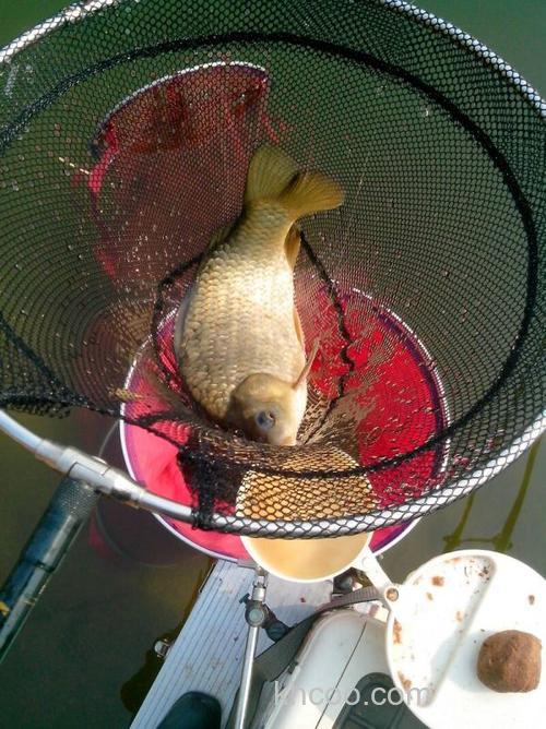 三月初陡山水库开战渔事-钓获大板鲫