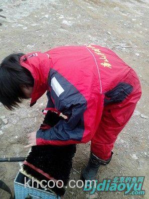 陡河水库掀起2014的冰钓大幕[雷霆三爷]