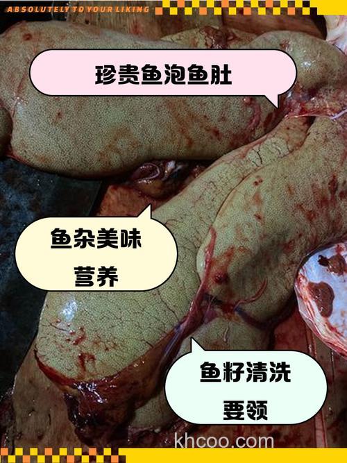 吃动物内脏的鱼有哪些？