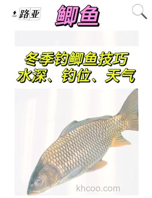 冬季钓鲫鱼水深多少合适？建议不超过4米！