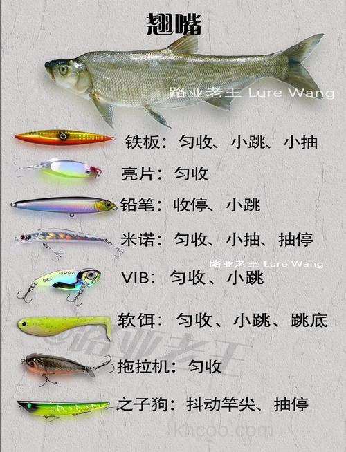 公饵的正确配方和用途？