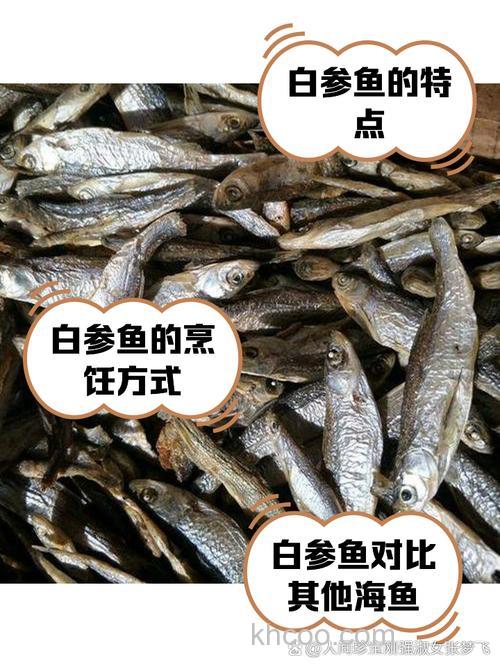 白参鱼的食用方法？