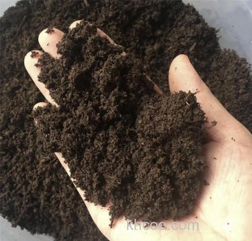 求教，蚯蚓的基料是什么？