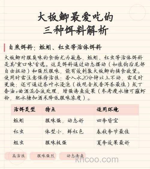 大板鲫喜欢吃什么饵料