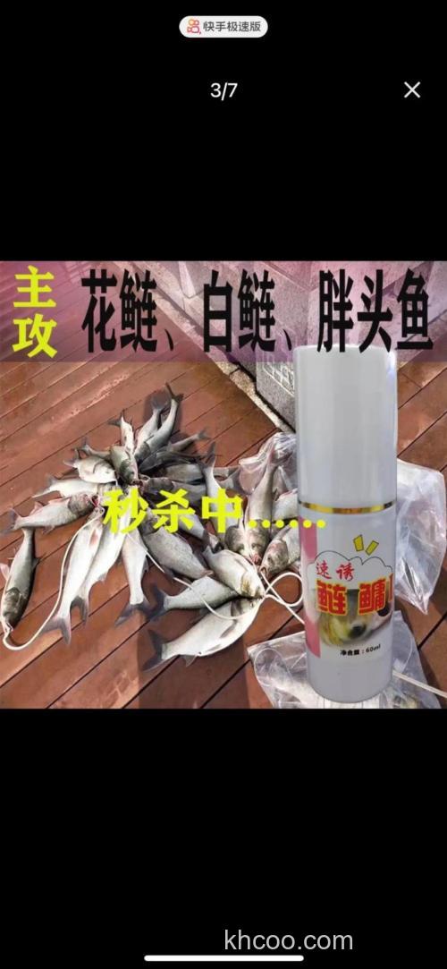 冬天钓鲢鳙用草莓味还是腥味？