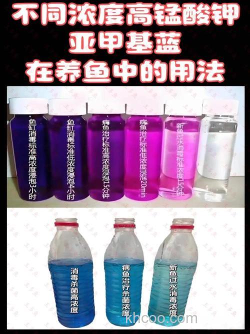 鲤鱼能接受的酒精浓度