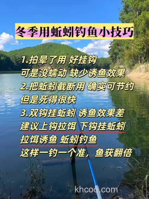 冬季钓草鱼用黑蚯蚓l有效果吗