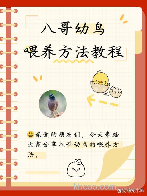 八哥怎麽养？