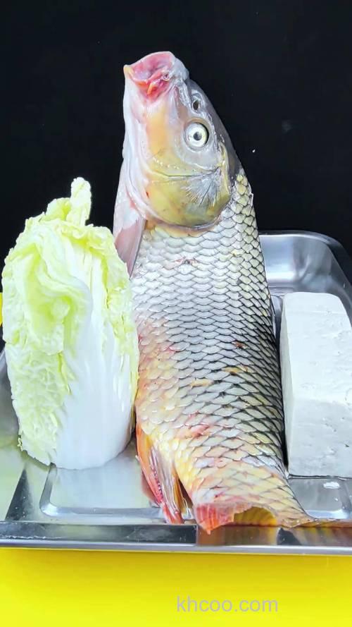 鲤鱼冬天吃什么?