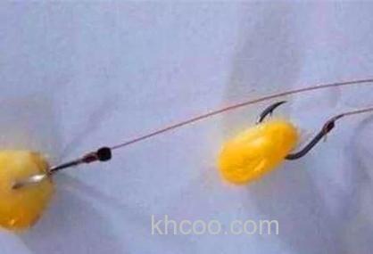 玉米钓鱼没口就死守吗？3个方法利于钓鲤鱼！