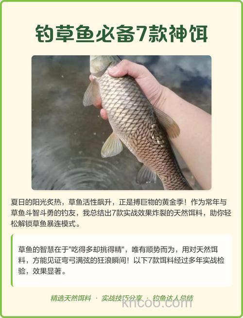 草鱼拿什么饵好钓