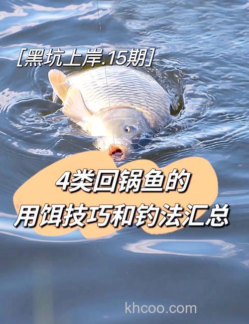 新手必看的，黑坑钓鲤鱼技巧大全