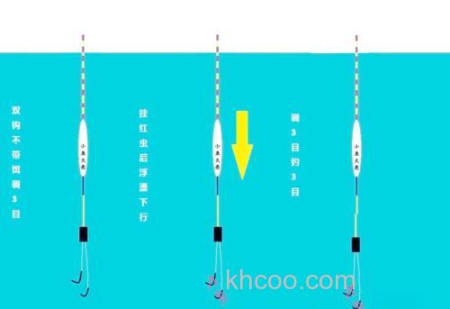 钓鲤鱼饵料的状态应注意什么问题？