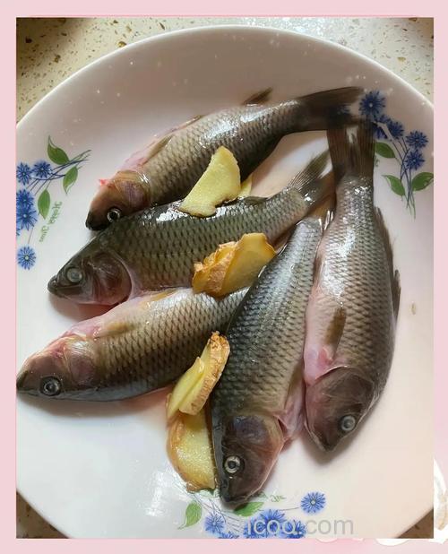 禾花鱼吃米饭吗？