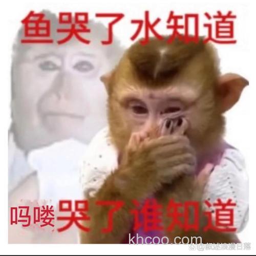 这两天哪的鱼情都不好啊！