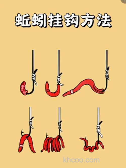蚯蚓怎样挂法比较适合钓鲫鱼？