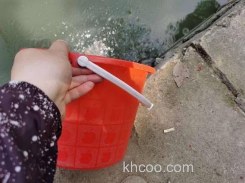 用过期牛奶来自制钓鱼饵料，效果意想不到