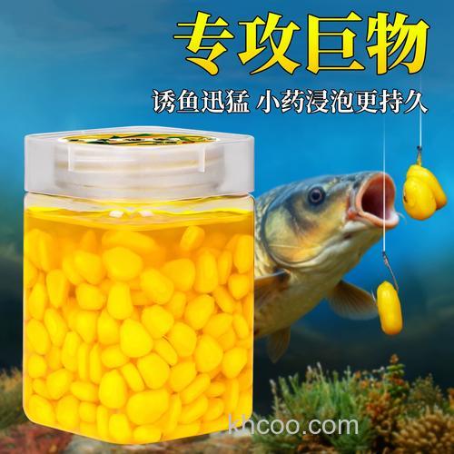 用什么钓鲤鱼最好？推荐这款香甜玉米饵料配方
