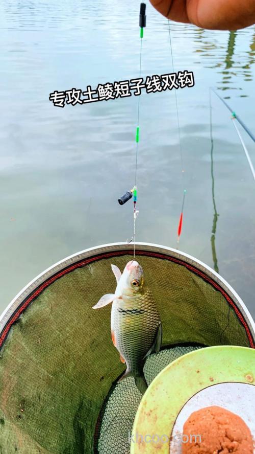 这钓法“专攻”大鳊鱼