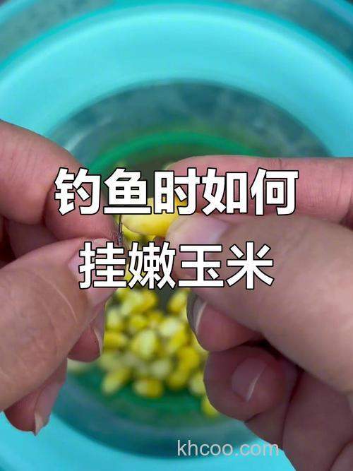 玉米粒钓鳊鱼钓半水还是钓底？