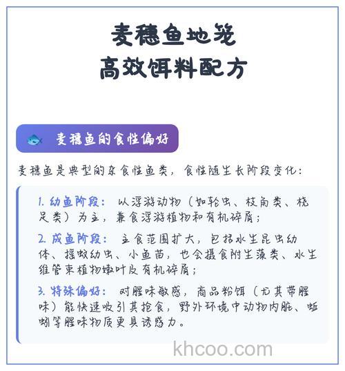 麦穗鱼饵料做法？