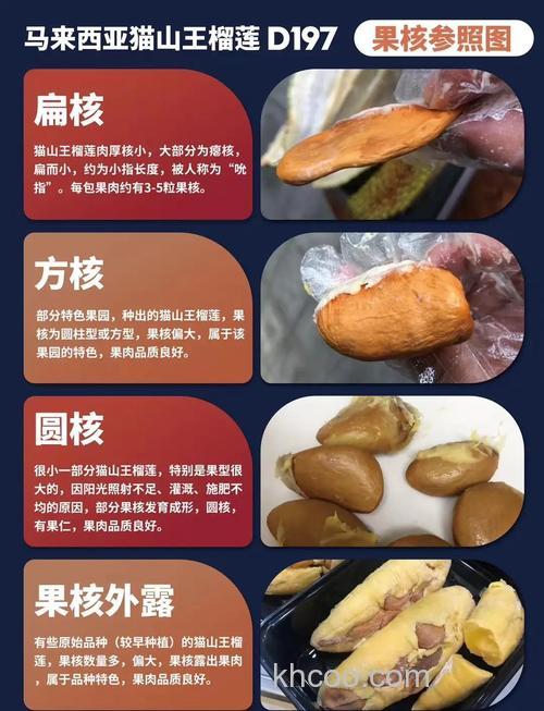 榴莲核能吃吗？