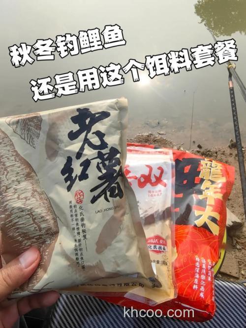 老红薯饵料钓鲤鱼怎么样？