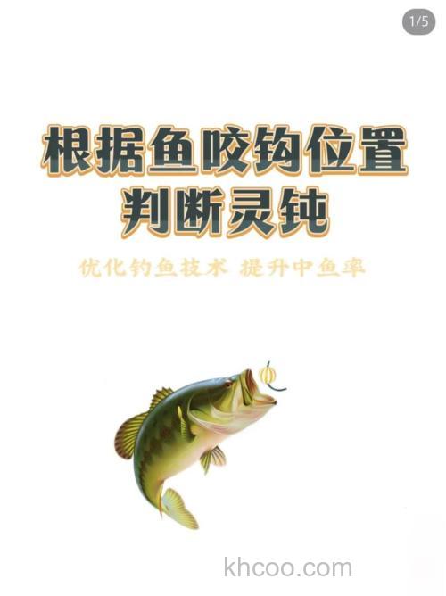 下钩中鱼是灵还是钝？