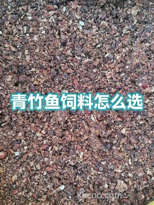 青竹鱼饵料配方？