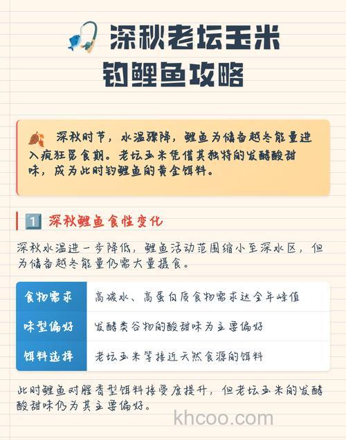 深秋季节怎样钓鲤鱼最好？