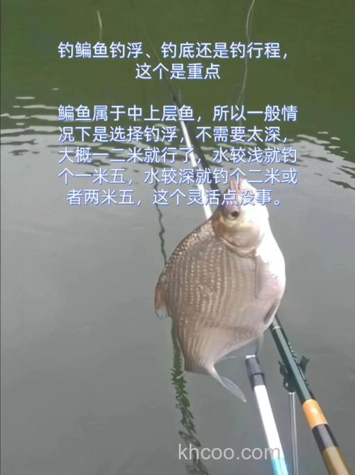 走水钓鳊鱼钓半水还是钓底？