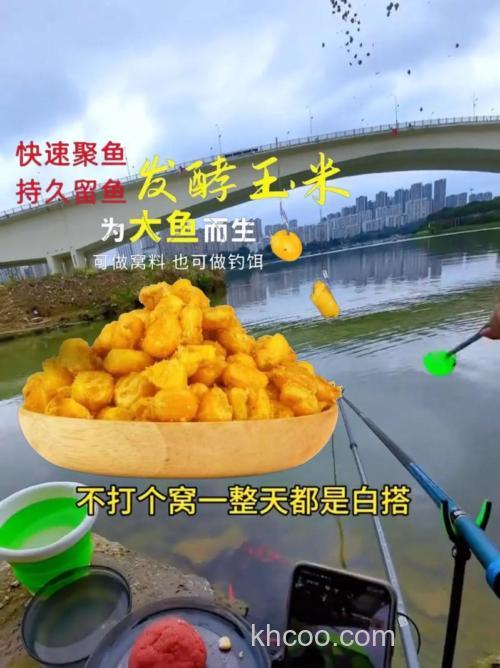 野钓鲤鱼用酒泡小麦打窝用老坛玉米钓可以吗？